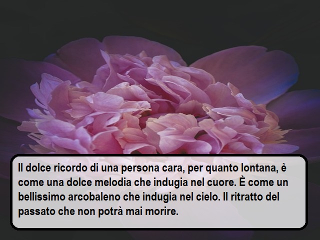 Il dolce ricordo di una persona cara, per quanto lontana, è come una dolce melodia che indugia nel cuore. È come un bellissimo arcobaleno che indugia nel cielo. Il ritratto del passato che non potrà mai morire.