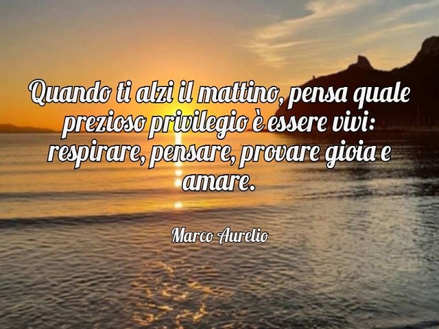 Quando ti alzi il mattino, pensa quale prezioso privilegio è essere vivi: respirare, pensare, provare gioia e amare.(Marco Aurelio)