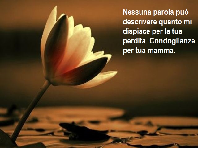 Nessuna parola può descrivere quanto mi dispiace per la tua perdita. Condoglianze per la tua mamma.