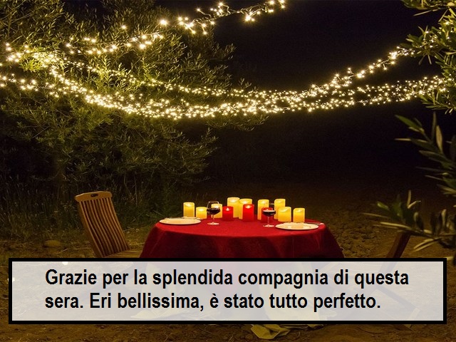 Grazie per la splendida compagnia di questa sera. Eri bellissima, è stato tutto perfetto.