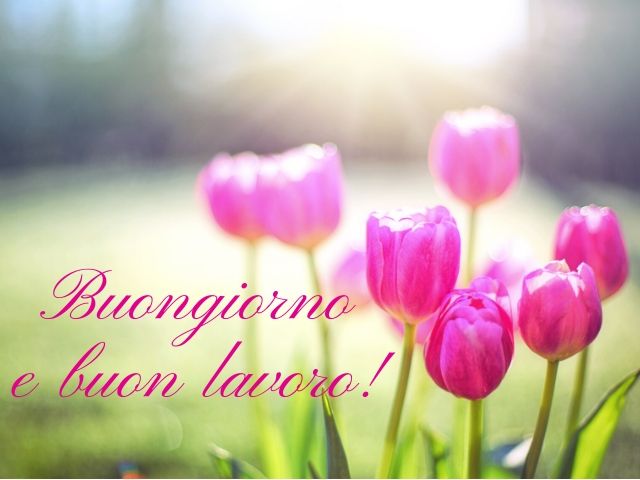 Buongiorno e buon lavoro!