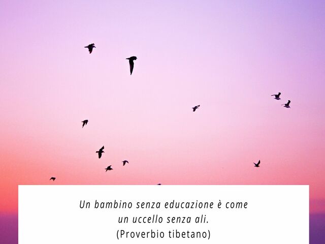 Un bambino senza educazione è come un uccello senza ali.(Proverbio tibetano)
