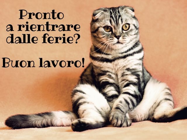 Pronto a rientrare dalle ferie? Buon lavoro!