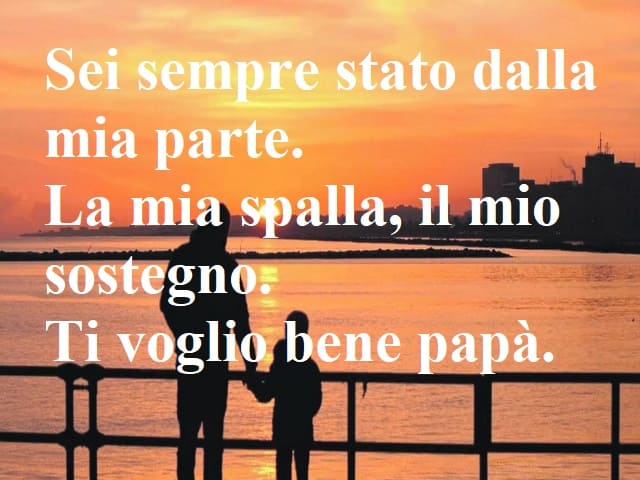 Sei sempre stato dalla mia parte. La mia spalla, il mio sostegno. Ti voglio bene papà.