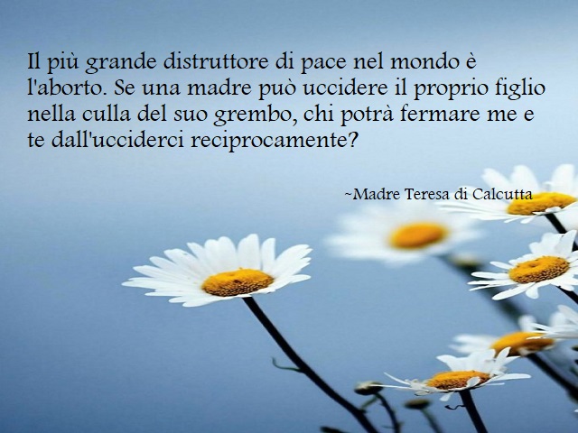 Il più grande distruttore di pace nel mondo è l'aborto. Se una madre può uccidere il proprio figlio nella culla del suo grembo, chi potrà fermare me e te dall'ucciderci reciprocamente? Madre Teresa di Calcutta