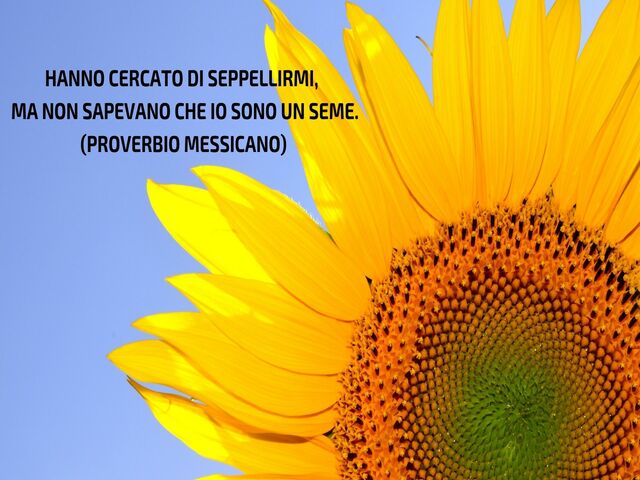 Hanno cercato di seppellirmi,ma non sapevano che io sono un seme.(Proverbio messicano)