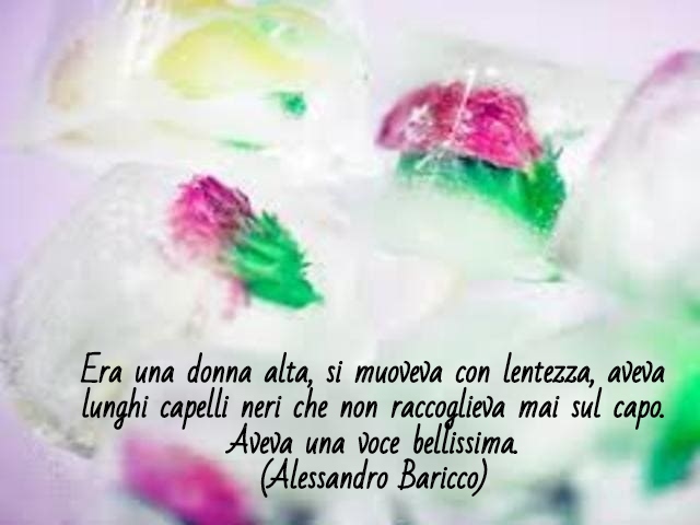 Era una donna alta, si muoveva con lentezza, aveva lunghi capelli neri che non raccoglieva mai sul capo. Aveva una voce bellissima.(Alessandro Baricco)