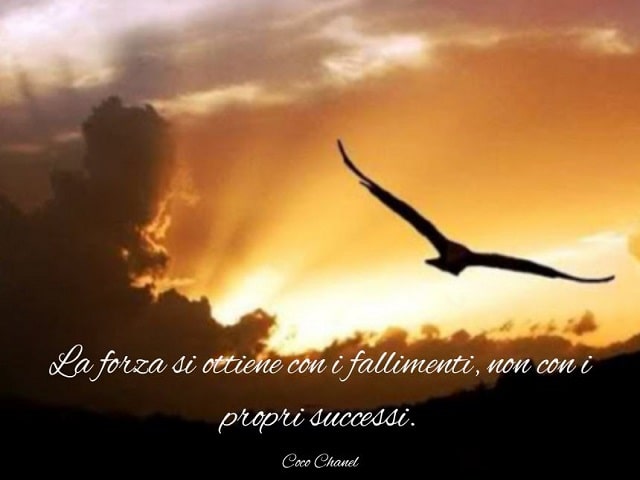 La forza si ottiene con i fallimenti, non con i propri successi.(Coco Chanel)