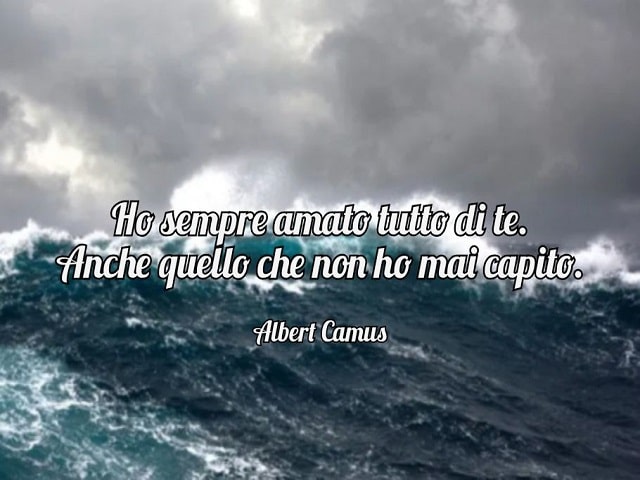 Ho sempre amato tutto di te. Anche quello che non ho mai capito.(Albert Camus)