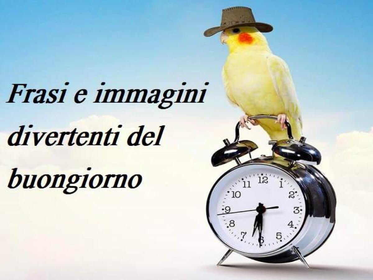 Buongiorno divertente: 112 frasi e immagini spiritose di buona giornata da condividere - 