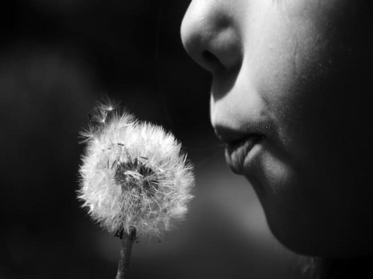 Frasi sui desideri: 236 immagini, canzoni e pensieri originali sui sogni custoditi nel cuore di ciascuno di noi - 