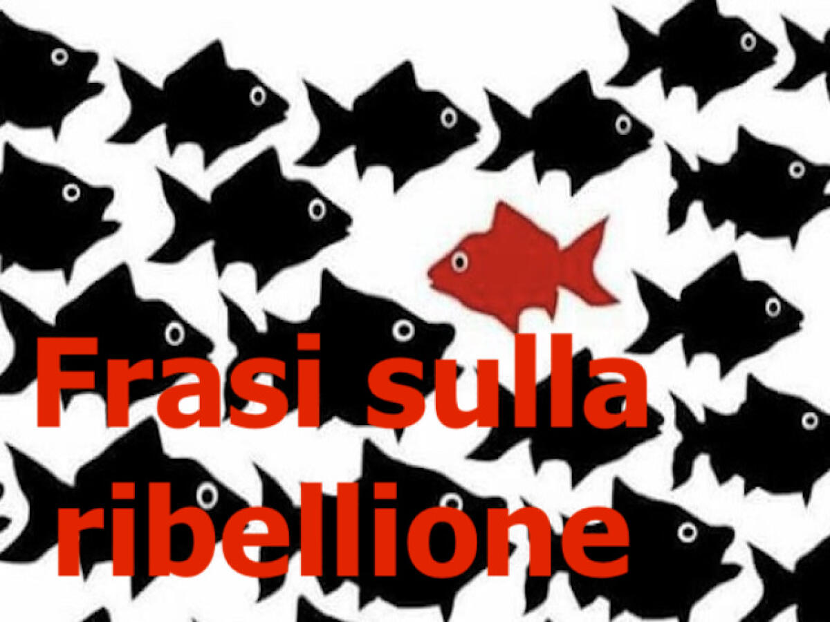 339 frasi e immagini sulla ribellione - 