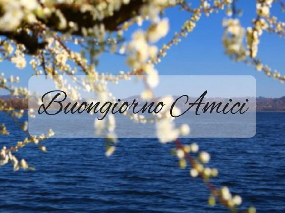 Buongiorno amici: 154 frasi per dirlo con affetto e simpatia - Buongiorno Amici.
