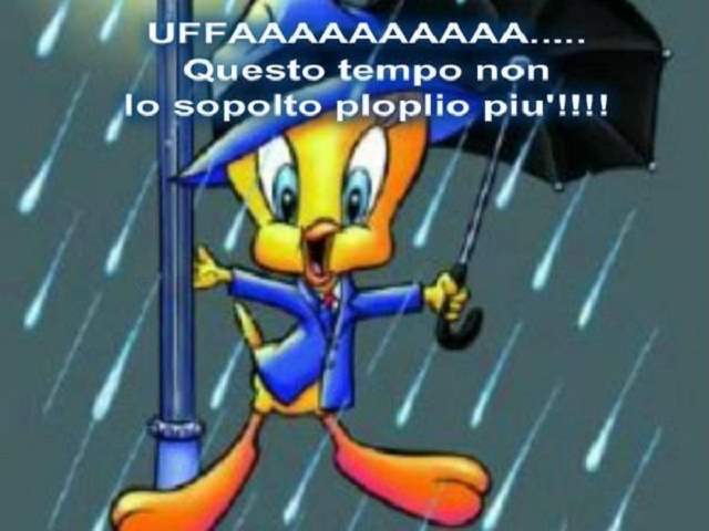 Uffaaaaaaaaaaaaa...Questo tempo non lo soppolto plopio più!!!