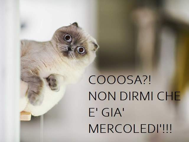Cooosa?! Non dirmi che è già mercoledì!!!