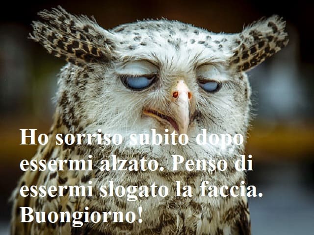Ho sorriso subito dopo essermi alzato. Penso di essermi slogato la faccia. Buongiorno!