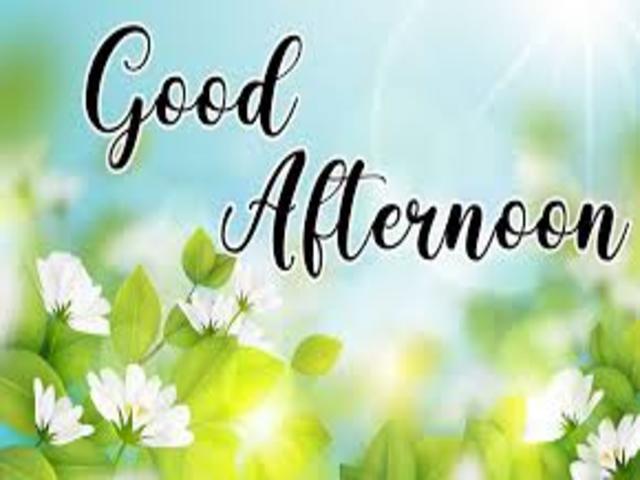 Good afternoon.