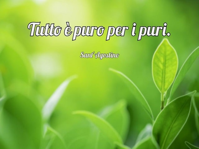 Tutto è puro per i puri.(Sant'Agostino)