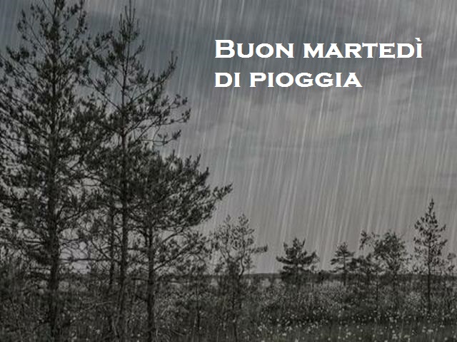 Buon martedì di pioggia