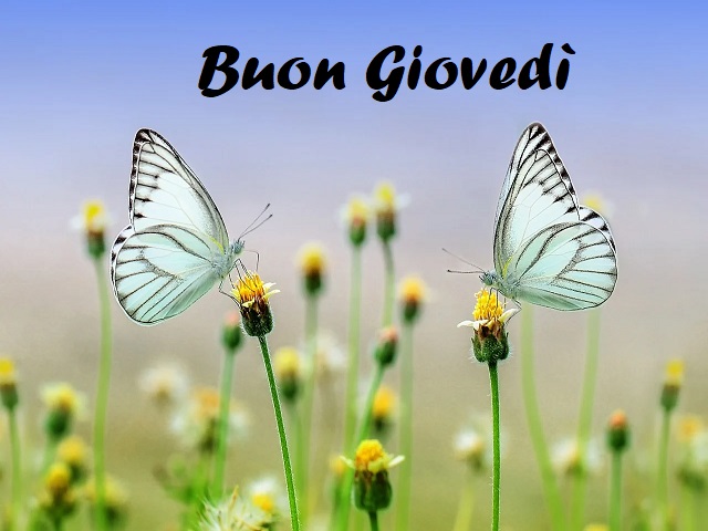 Buon Giovedì