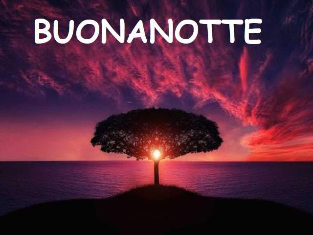 Buonanotte
