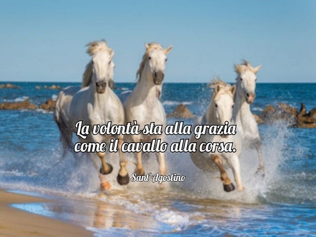La volontà sta alla grazia come il cavallo alla corsa.(Sant'Agostino)