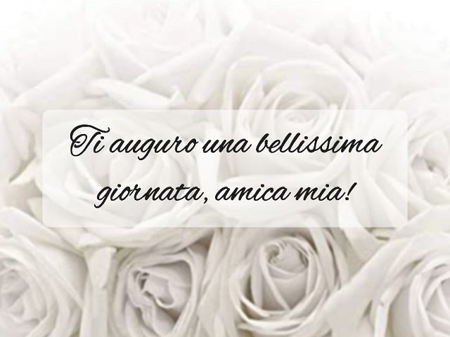 Ti auguro una bellissima giornata, amica mia!