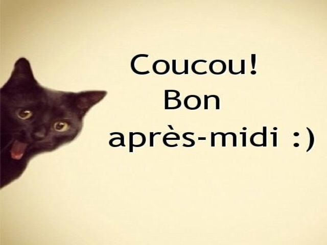 Coucou! Bon après-midi!