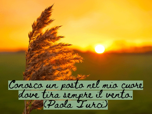 Conosco un posto nel mio cuore dove tira sempre il vento.(Paola Turci)