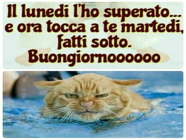 Il lunedì l'ho superato... e ora tocca a te martedì, fatti sotto. Buongiornoooooo