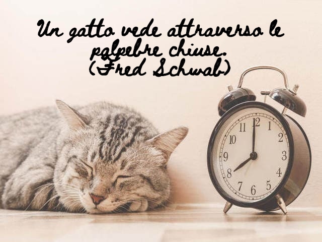 Un gatto vede attraverso le palpebre chiuse.(Fred Schwab)