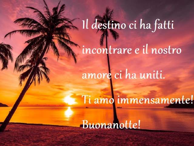 Il destino ci ha fatti incontrare e il nostro amore cci ha uniti. Ti amo immensamente! Buonanotte!