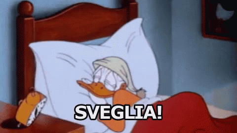 Sveglia!
