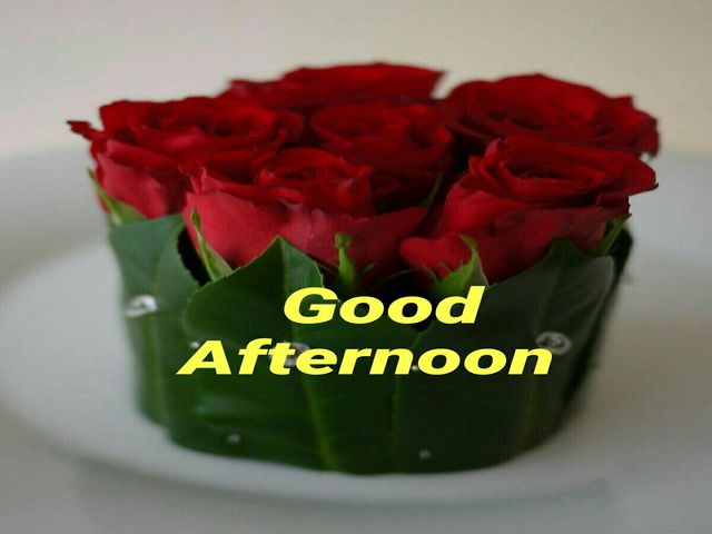 Good afternoon.