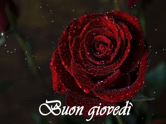 Buon Giovedì
