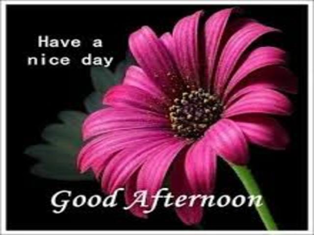 Have a nice day. Good afternoon.