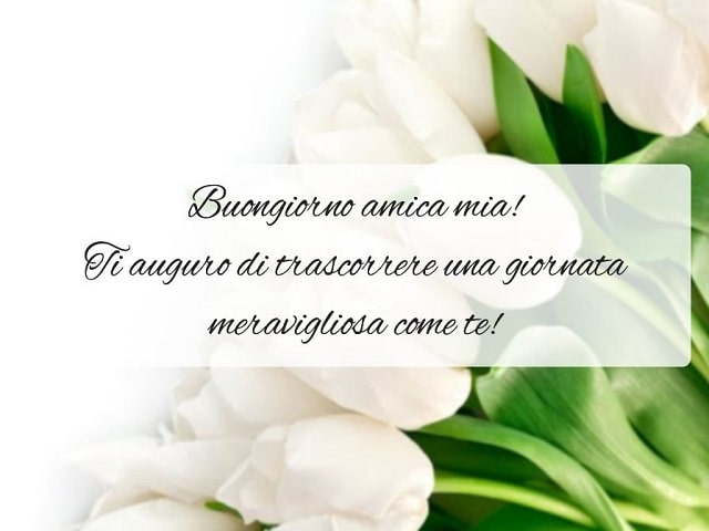 Buongiorno amica mia! Ti auguro di trascorrere una giornata meravigliosa come te!