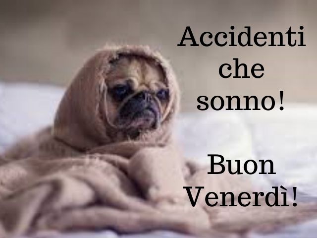 Accidenti che sonno! Buon venerdì!