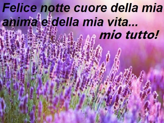 Felice notte cuore della mia anima e della mia vita...mio tutto!