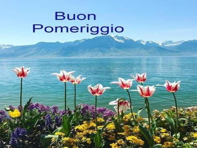 Buon pomeriggio.
