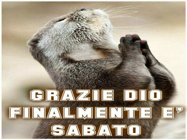 Grazie Dio, finalmente è Sabato