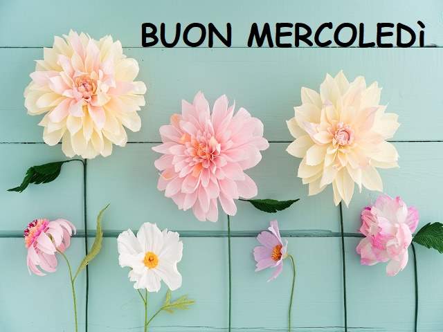 Buon mercoledì