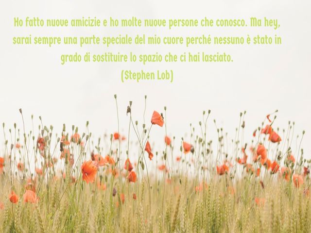 Ho fatto nuove amicizie e ho molte nuove persone che conosco. Ma hey, sarai sempre una parte speciale del mio cuore perché nessuno è stato in grado di sostituire lo spazio che ci hai lasciato.(Stephen Lob)