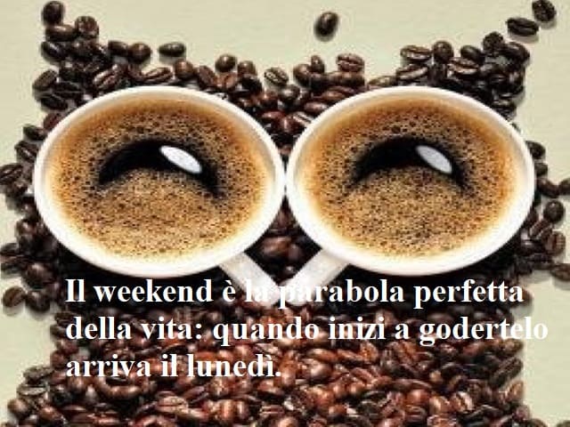 Il weekend è la parabola perfetta della vita: quando inizi a godertelo arriva il lunedì.