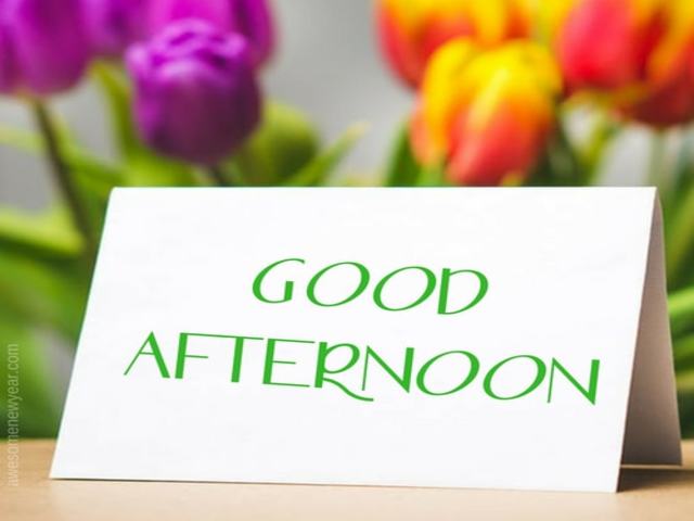 Good afternoon.
