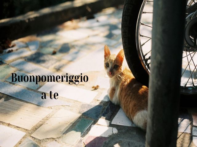 Buonpomeriggio a te