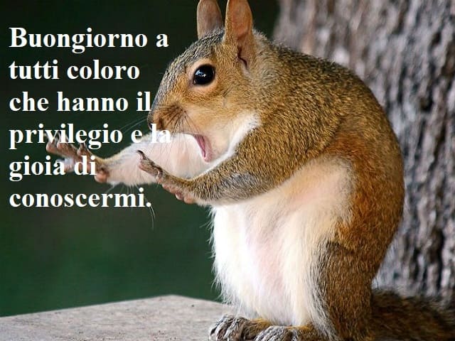 Buongiorno a tutti coloro che hanno il privilegio e la gioia di conoscermi.