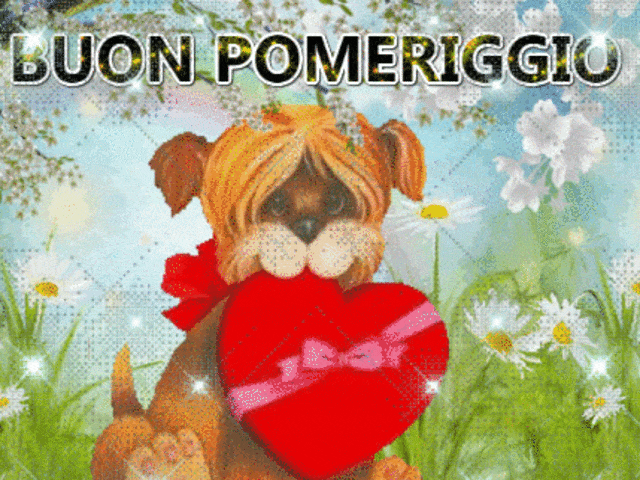 Buon pomeriggio.