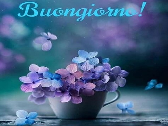 Buongiorno!