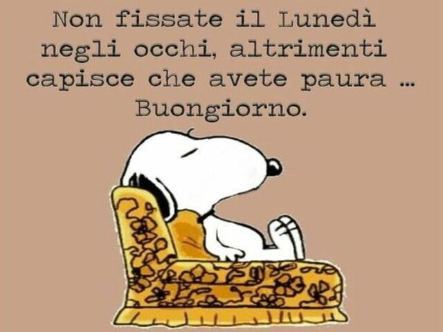 Non fissate il Lunedì negli occhi altrimenti capisce che avete paura...Buongiorno.